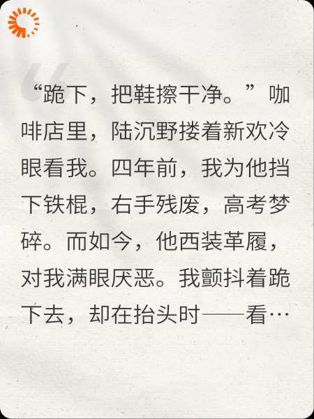 我曾为你坠入深渊