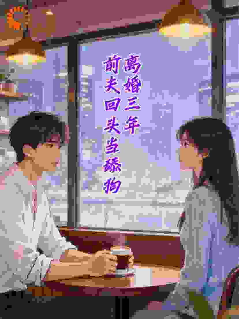离婚三年，前夫回头当舔狗