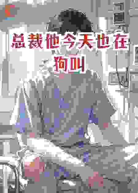 总裁他今天也在狗叫