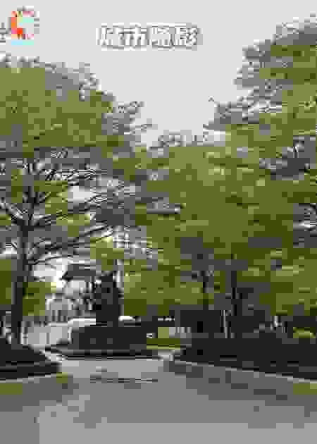 城市随影