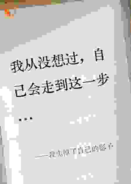 我卖掉了自己的影子