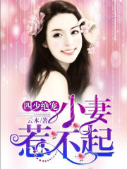 最佳神医豪婿