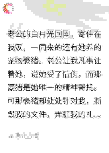 豪猪上位，我把老公踹出家门