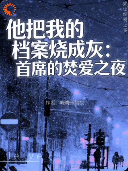 他把我的档案烧成灰：首席的焚爱之夜
