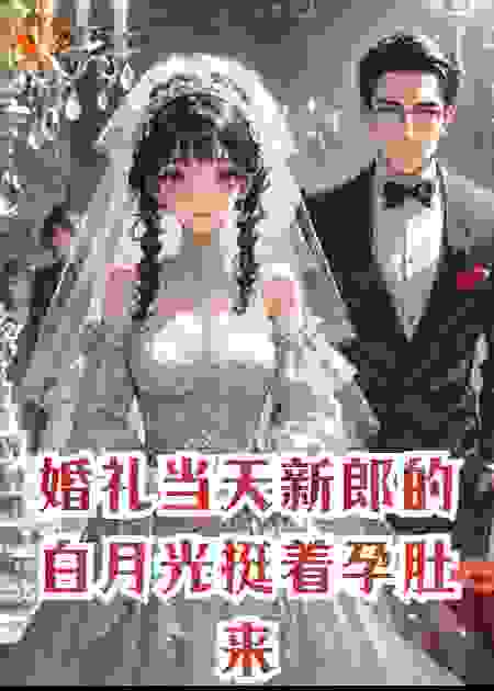 婚礼当天新郎的白月光挺着孕肚来了我反手嫁给了他大哥