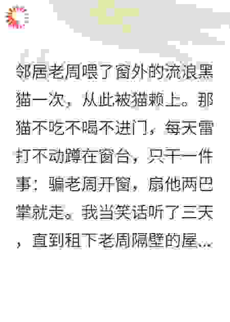 每天下午四点，猫主子准时来扇我