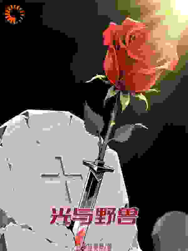 光与野兽