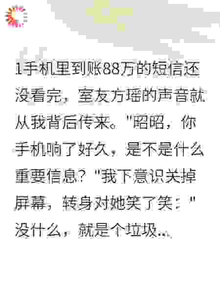 室友盗用我的88万生活费