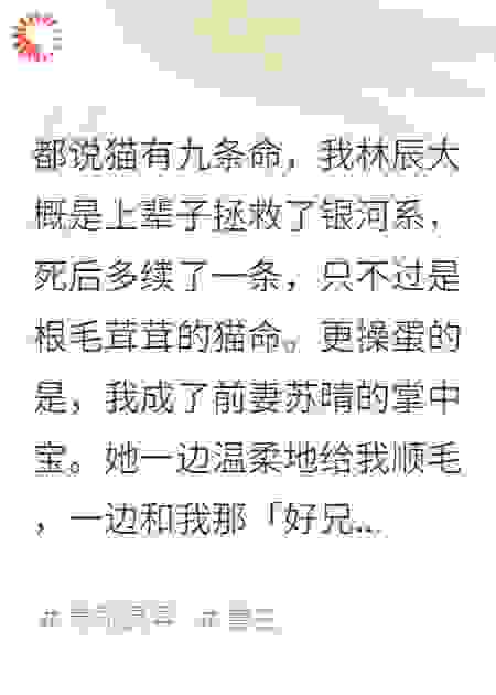 我死后，成了前妻的黑猫