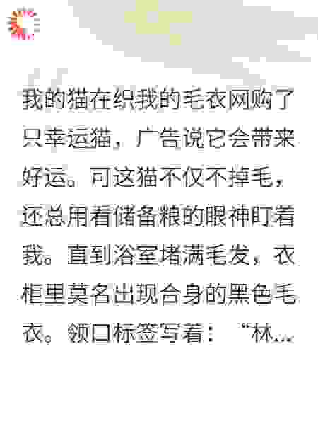 我的猫在织我的毛衣