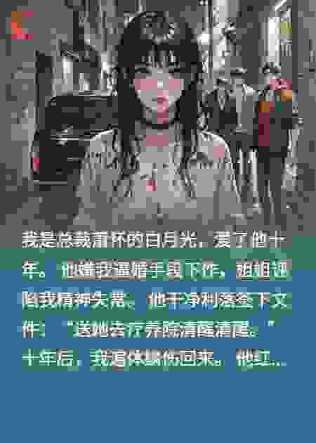 为奴十年后，总裁为我杀疯了