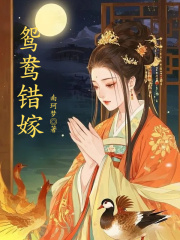 鸳鸯错嫁