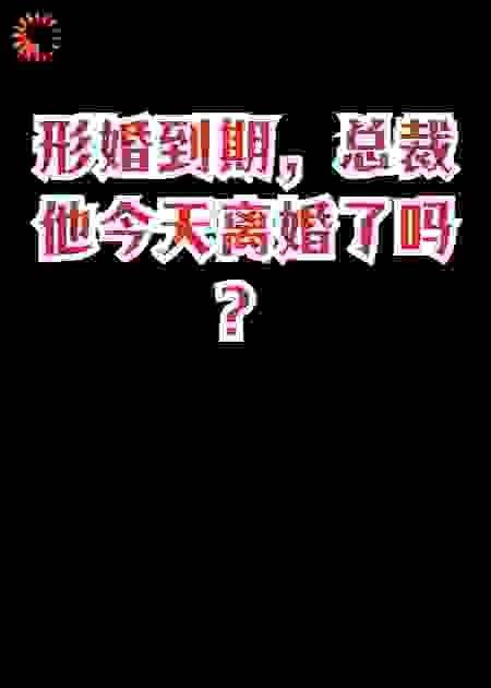 形婚到期，总裁他今天离婚了吗？
