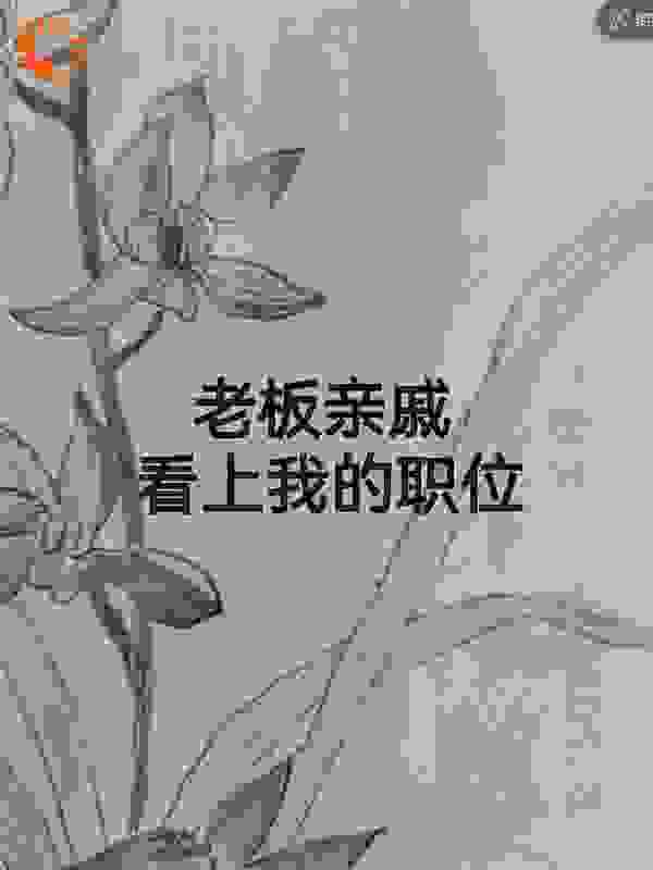老板亲戚看上我的职位