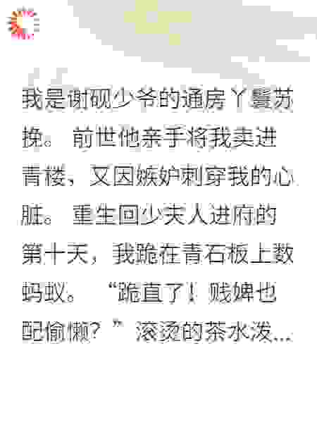 我是少爷通房丫鬟