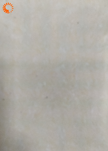 十二钗的现世流年