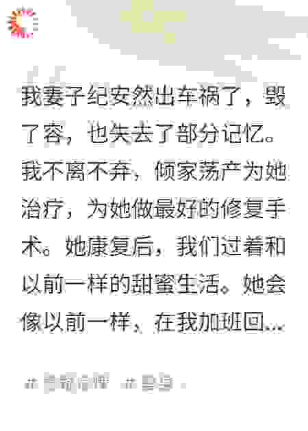 完美替身：杀妻凶手正躺在我枕边