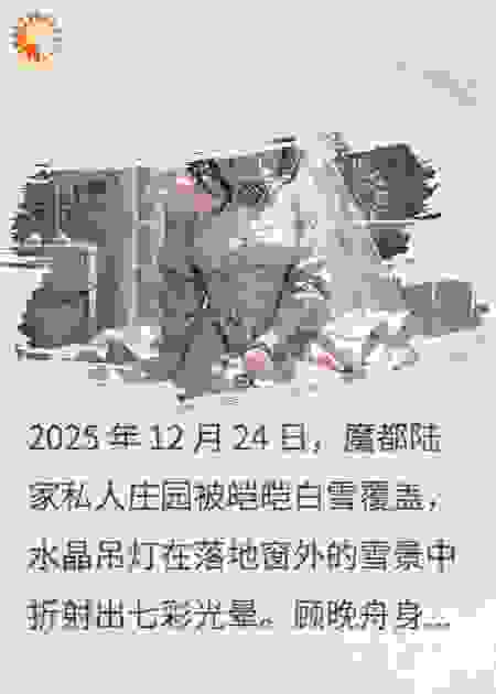双生密码：记忆镜像