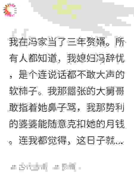 我那唯唯诺诺的妻子，把婆家一锅端了