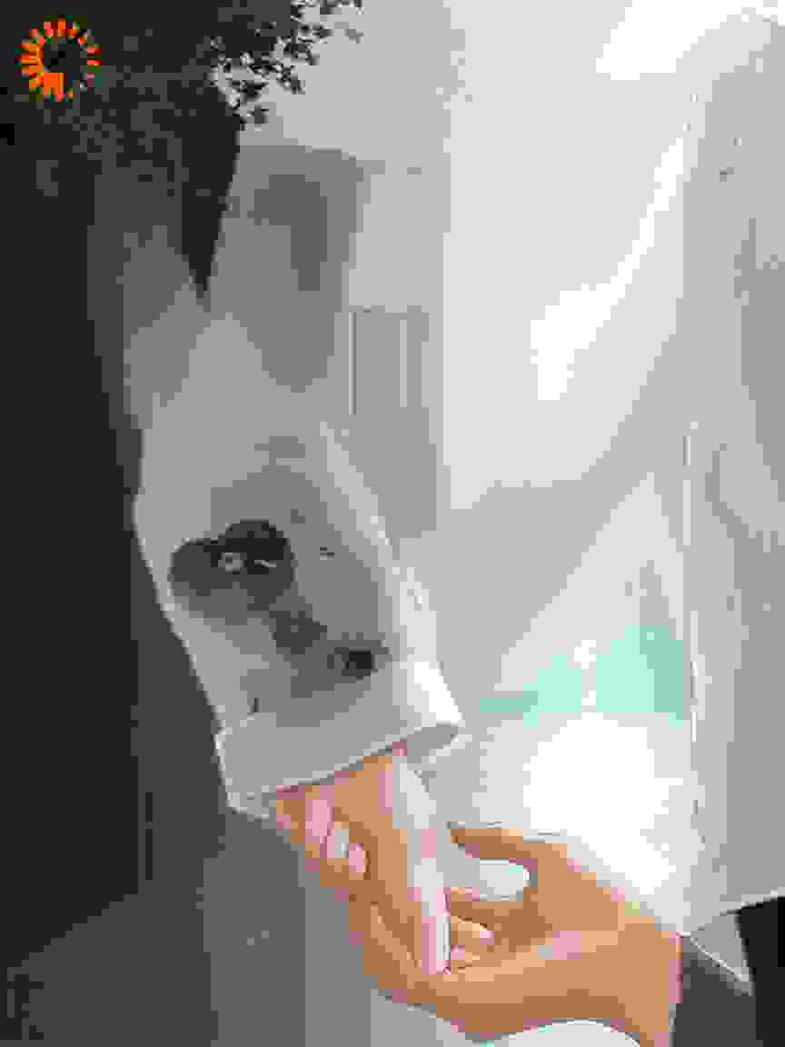 借你的月光取暖