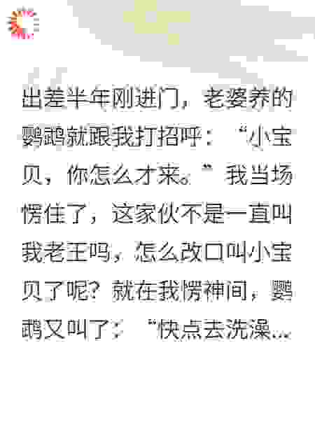鹦鹉学舌，助我识破老婆奸情