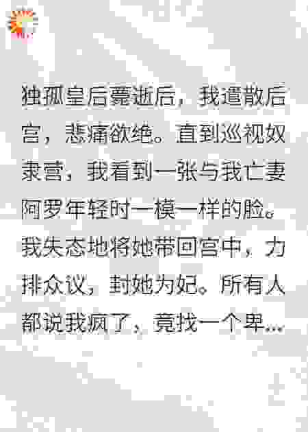 被皇帝从奴隶营带回宫，得知身世，智斗后宫，屠城匈奴
