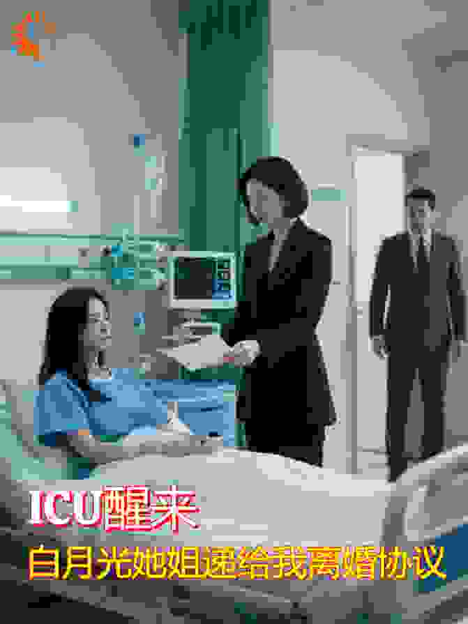ICU醒来，情敌她姐递上离婚协议