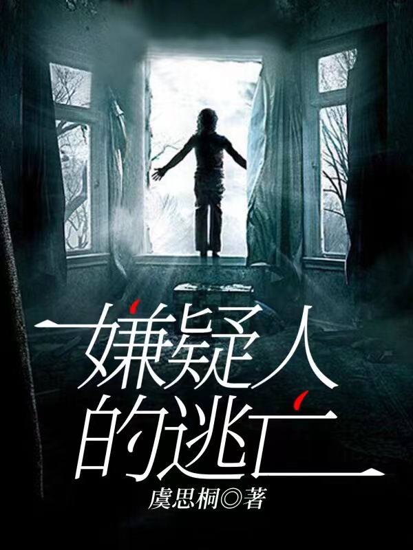 嫌疑人的逃亡