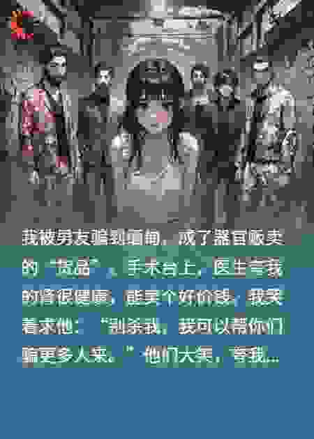 被男友骗到缅甸后