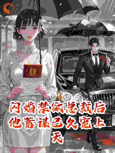 闪婚禁欲总裁后他蓄谋已久宠上天