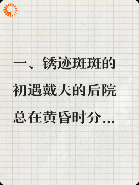 向日葵与铁桶