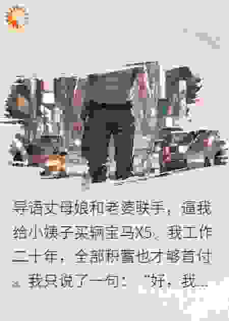 老婆强逼买宝马送小姨，我拽人去民政局：啥情况？